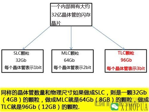 slc mlc tlc