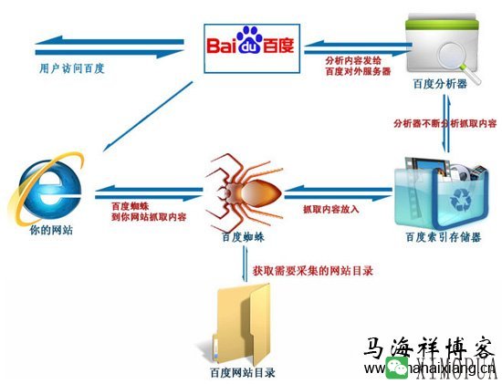 搜索引擎蜘蛛的基本原理及工作流程